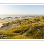 Les dunes entre Fort-Mahon et la baie d'Authie au soleil couchant