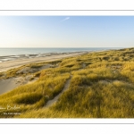 Les dunes entre Fort-Mahon et la baie d'Authie au soleil couchant