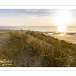 Les dunes entre Fort-Mahon et la baie d'Authie au soleil couchant