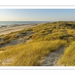 Les dunes entre Fort-Mahon et la baie d'Authie au soleil couchant