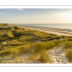 Les dunes entre Fort-Mahon et la baie d'Authie au soleil couchant