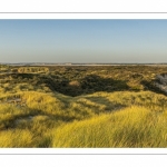Les dunes entre Fort-Mahon et la baie d'Authie au soleil couchant