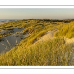 Les dunes entre Fort-Mahon et la baie d'Authie au soleil couchant