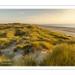 Les dunes entre Fort-Mahon et la baie d'Authie au soleil couchant