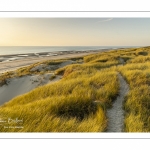 Les dunes entre Fort-Mahon et la baie d'Authie au soleil couchant