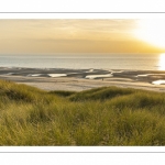 Les dunes entre Fort-Mahon et la baie d'Authie au soleil couchant