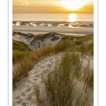 Les dunes entre Fort-Mahon et la baie d'Authie au soleil couchant