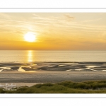 Les dunes entre Fort-Mahon et la baie d'Authie au soleil couchant