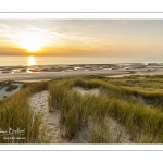 Les dunes entre Fort-Mahon et la baie d'Authie au soleil couchant