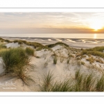 Les dunes entre Fort-Mahon et la baie d'Authie au soleil couchant