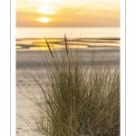 Les dunes entre Fort-Mahon et la baie d'Authie au soleil couchant