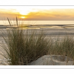 Les dunes entre Fort-Mahon et la baie d'Authie au soleil couchant