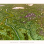 DPM_Drone_30_07_2016_003-border