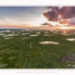 DPM_Drone_30_07_2016_004-border