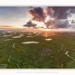 DPM_Drone_30_07_2016_006-border