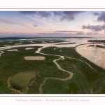 DPM_Drone_30_07_2016_010-border