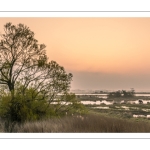 Le marais de blanquetaque près de Noyelles-sur-mer au petit matin