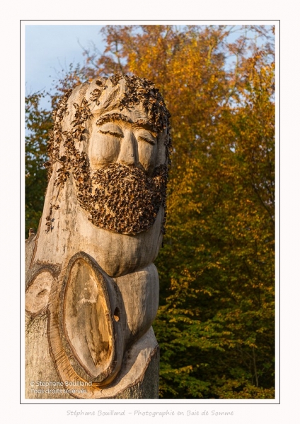 Sculptures_Foret_Crecy_01_11_2016_003-border