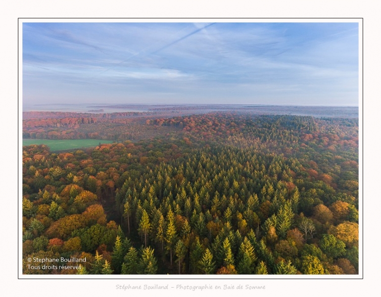 Foret_Crecy_drone_Automne_01_11_2016_001-border