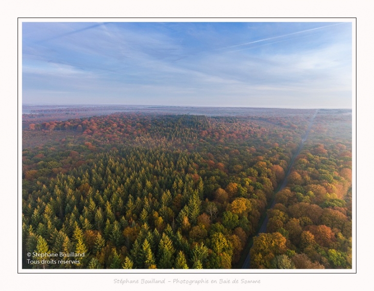 Foret_Crecy_drone_Automne_01_11_2016_002-border
