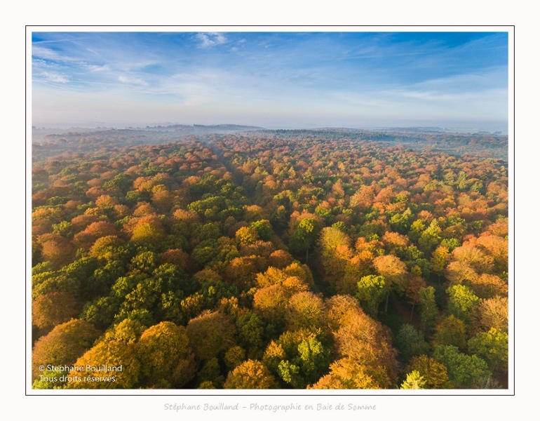 Foret_Crecy_drone_Automne_01_11_2016_008-border