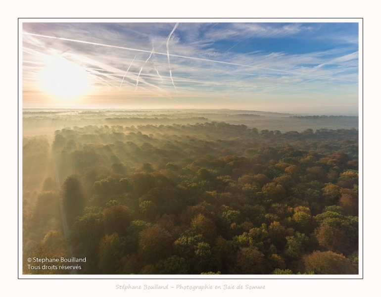 Foret_Crecy_drone_Automne_01_11_2016_011-border