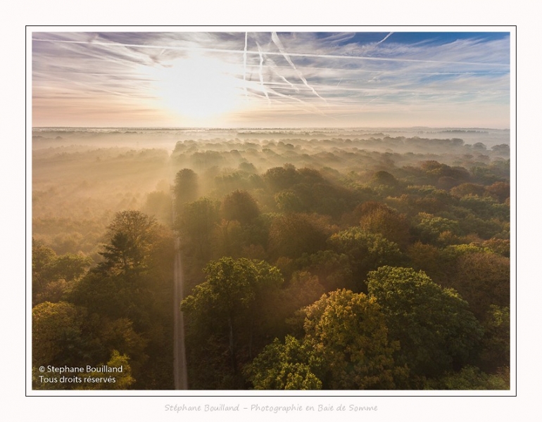 Foret_Crecy_drone_Automne_01_11_2016_014-border
