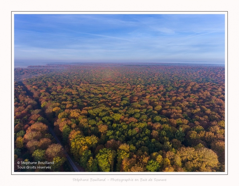 Foret_Crecy_drone_Automne_01_11_2016_017-border