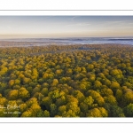 La forêt de Crécy en automne (vue aérienne)