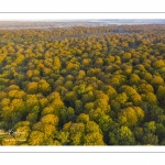 La forêt de Crécy en automne (vue aérienne)