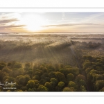 La forêt de Crécy en automne (vue aérienne)