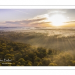 La forêt de Crécy en automne (vue aérienne)