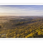 La forêt de Crécy en automne (vue aérienne)