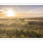 La forêt de Crécy en automne (vue aérienne)