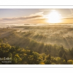 La forêt de Crécy en automne (vue aérienne)