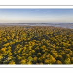 La forêt de Crécy en automne (vue aérienne)