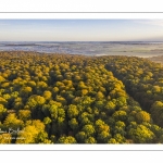 La forêt de Crécy en automne (vue aérienne)