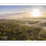 La forêt de Crécy en automne (vue aérienne)