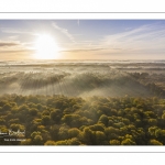 La forêt de Crécy en automne (vue aérienne)