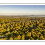 La forêt de Crécy en automne (vue aérienne)