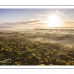 La forêt de Crécy en automne (vue aérienne)