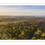 La forêt de Crécy en automne (vue aérienne)