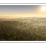 Lever de soleil sur la forêt de Crécy