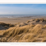 Les dunes du Marquenterre, entre Fort-Mahon et la Baie d'Authie - Saison : Hiver - Lieu : Fort-Mahon, Côte Picarde, Somme, Picardie, Hauts-de-France, France. The dunes of Marquenterre, between Fort-Mahon and the Bay of Authie - Season: Winter - Location: Fort-Mahon, Picardy Coast, Somme, Picardy, Hauts-de-France, France.