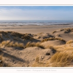 Les dunes du Marquenterre, entre Fort-Mahon et la Baie d'Authie - Saison : Hiver - Lieu : Fort-Mahon, Côte Picarde, Somme, Picardie, Hauts-de-France, France. The dunes of Marquenterre, between Fort-Mahon and the Bay of Authie - Season: Winter - Location: Fort-Mahon, Picardy Coast, Somme, Picardy, Hauts-de-France, France.