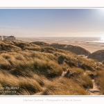 Les dunes du Marquenterre, entre Fort-Mahon et la Baie d'Authie - Saison : Hiver - Lieu : Fort-Mahon, Côte Picarde, Somme, Picardie, Hauts-de-France, France. The dunes of Marquenterre, between Fort-Mahon and the Bay of Authie - Season: Winter - Location: Fort-Mahon, Picardy Coast, Somme, Picardy, Hauts-de-France, France.