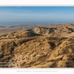 Les dunes du Marquenterre, entre Fort-Mahon et la Baie d'Authie - Saison : Hiver - Lieu : Fort-Mahon, Côte Picarde, Somme, Picardie, Hauts-de-France, France. The dunes of Marquenterre, between Fort-Mahon and the Bay of Authie - Season: Winter - Location: Fort-Mahon, Picardy Coast, Somme, Picardy, Hauts-de-France, France.
