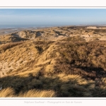 Les dunes du Marquenterre, entre Fort-Mahon et la Baie d'Authie - Saison : Hiver - Lieu : Fort-Mahon, Côte Picarde, Somme, Picardie, Hauts-de-France, France. The dunes of Marquenterre, between Fort-Mahon and the Bay of Authie - Season: Winter - Location: Fort-Mahon, Picardy Coast, Somme, Picardy, Hauts-de-France, France.