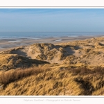 Les dunes du Marquenterre, entre Fort-Mahon et la Baie d'Authie - Saison : Hiver - Lieu : Fort-Mahon, Côte Picarde, Somme, Picardie, Hauts-de-France, France. The dunes of Marquenterre, between Fort-Mahon and the Bay of Authie - Season: Winter - Location: Fort-Mahon, Picardy Coast, Somme, Picardy, Hauts-de-France, France.