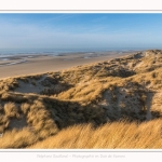 Les dunes du Marquenterre, entre Fort-Mahon et la Baie d'Authie - Saison : Hiver - Lieu : Fort-Mahon, Côte Picarde, Somme, Picardie, Hauts-de-France, France. The dunes of Marquenterre, between Fort-Mahon and the Bay of Authie - Season: Winter - Location: Fort-Mahon, Picardy Coast, Somme, Picardy, Hauts-de-France, France.